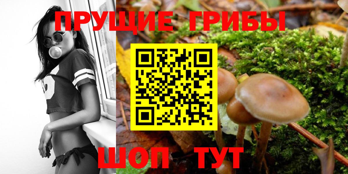 Галлюциногенные грибы мухоморы  Псилоцибиновые грибы прущие грибы  Жуковский  Вход с VPN 